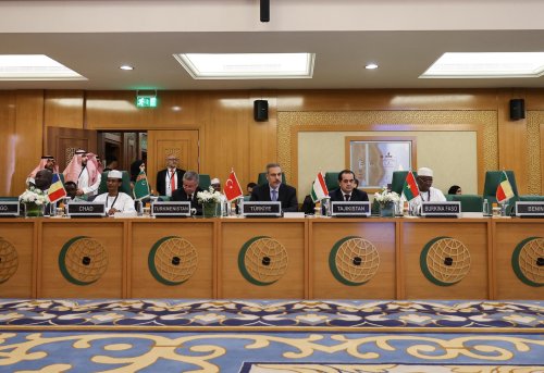 Türkiye and the OIC Navigating Challenges and Strengthening Alliances