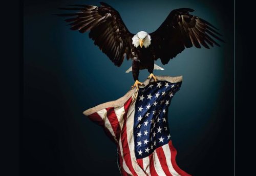 The Rise and Fall of the Eagle An Assessment of